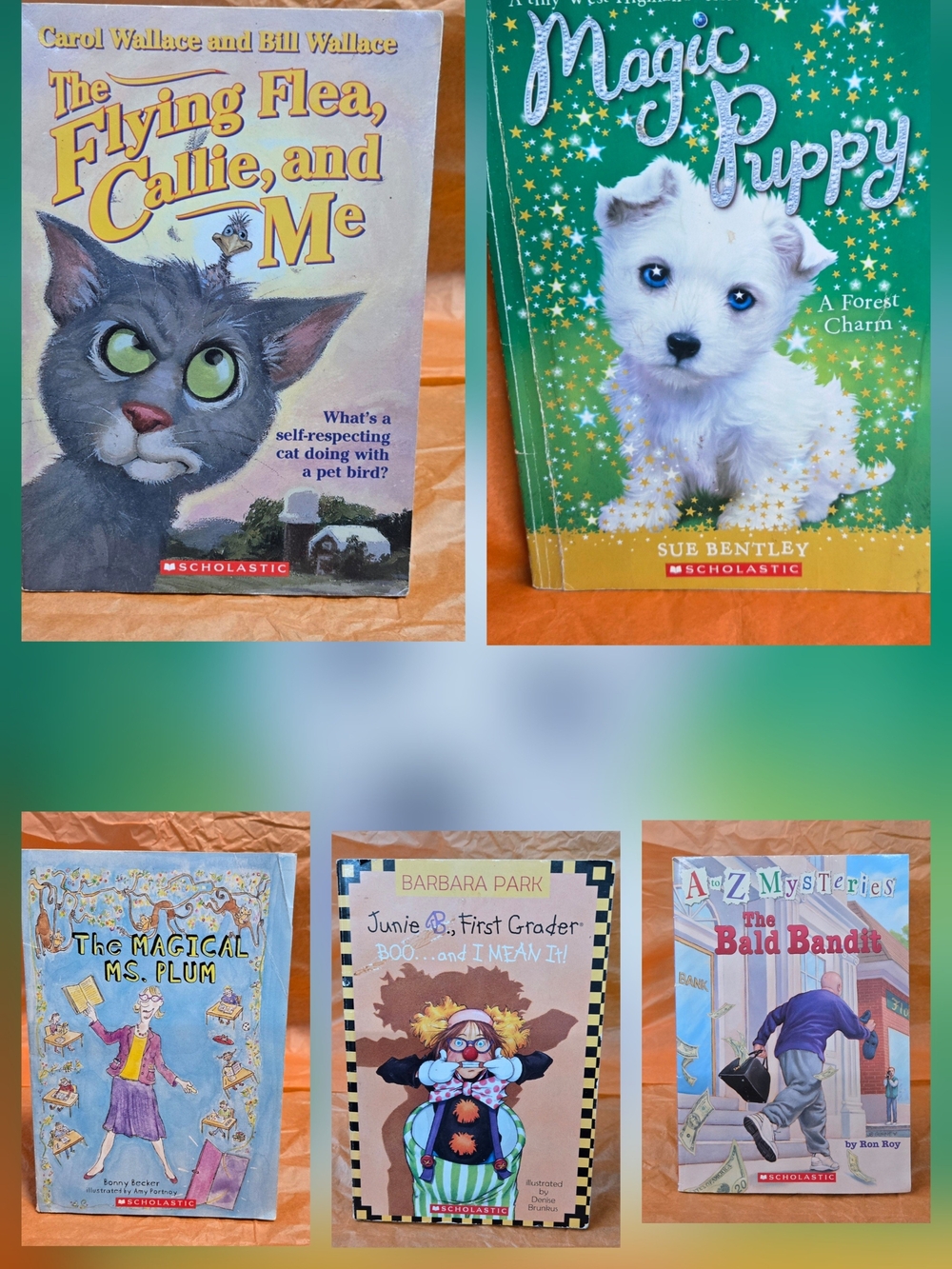 LOT OF 5 SCHOLASTIC SERIES BOOKS